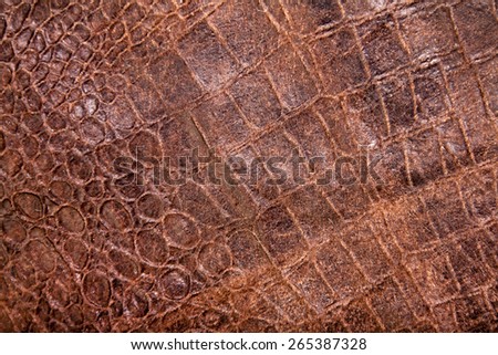 Reptile skin texture - snake or crocodile