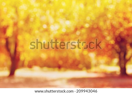 autumn trees out of focus, natural bokeh background