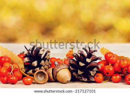 pine cones, oak acorn and rowanberry on wooden board against bokeh background, autumn concept