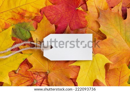 price tag from recycled paper on twine string on autumn leaves background