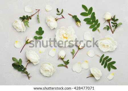 White rose flowers and green leaves on light gray background from above, beautiful floral pattern, vintage color, flat lay styling
