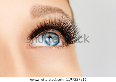Female eye with extreme long false eyelashes and black liner. Eyelash extensions, make-up, cosmetics, beauty. Close up, macro