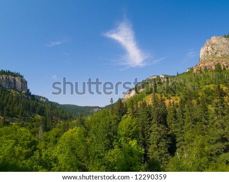 A late afternoon in summer in Spearfish Canyon in the Black Hills of South Dakota.