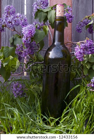 A wine bottle among lilacs leaning against a weathered fence