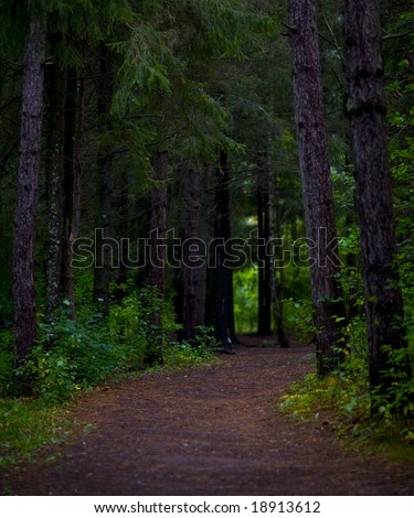 Into the woods on a path into a dark forest in northern Minnesota