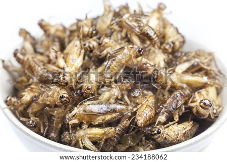 Fried crickets is the food in thai.