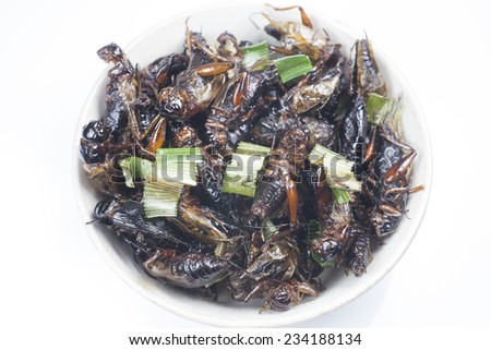 Crispy fried insects thai menu food.