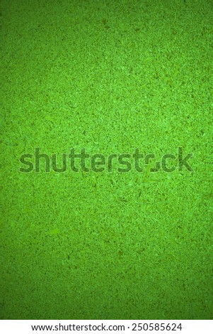 Green recycled wooden plate background.