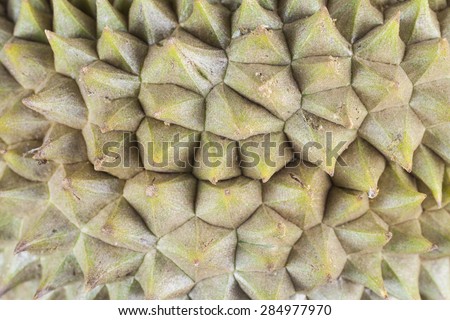Durian closeup thorn spiky background.