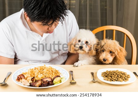A teenager with two poodle puppies on dining table with plateful of food and kibbles