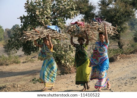 Remote village women carrying firewood from forest in Gujarat State of India