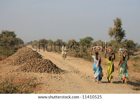 Village women carrying firewood from forest in Gujarat State of India