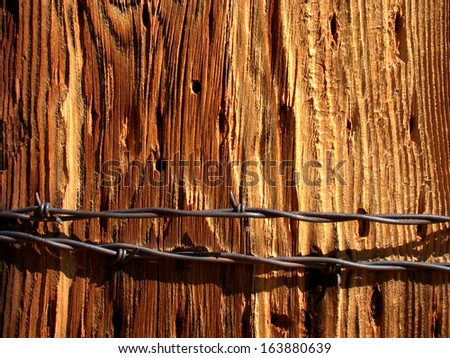 Face of a large fence post with barbed wire