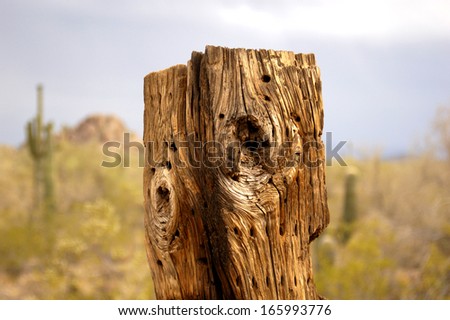Weathered ranch fence post in the desert
