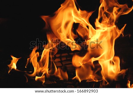 Campfire flames over burning logs
