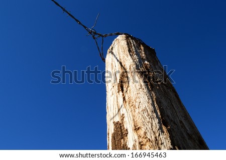 Large cattle fence post skyward view