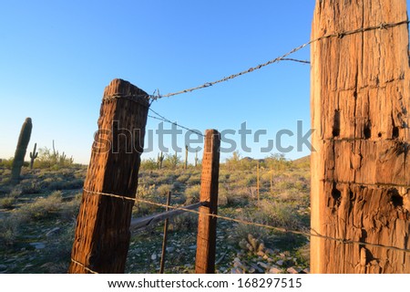 Barbed wire and fence posts