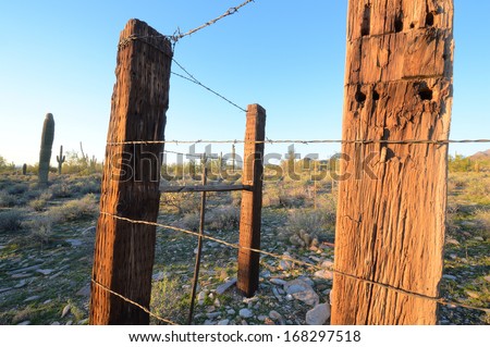 Barbed wire and fence posts