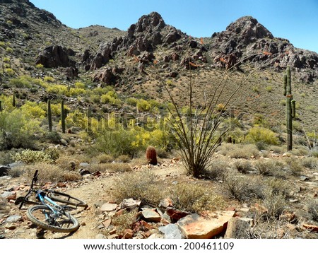 Arizona desert mountain biking