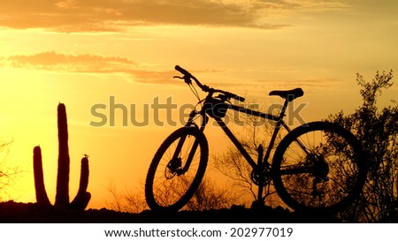 Mountain biking the southwest silhouette at sunset