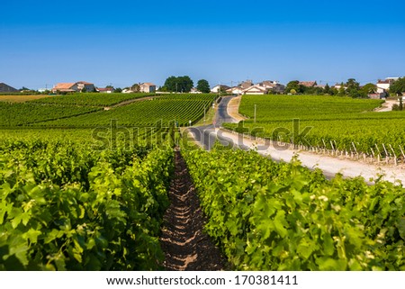 Vineyard landscape near Bordeaux in France