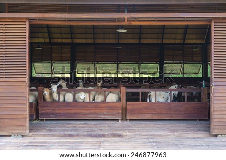 open barn with group of animal inside