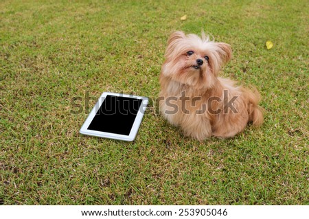 dog sitting side by side with empty screen tablet