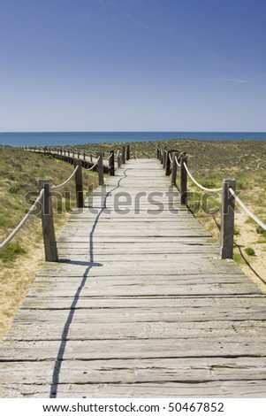 Wood path going to a wild and empty beach