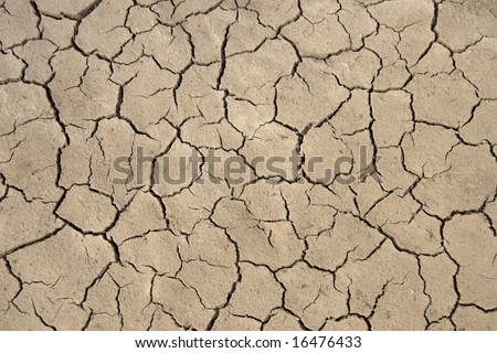 Dry land texture