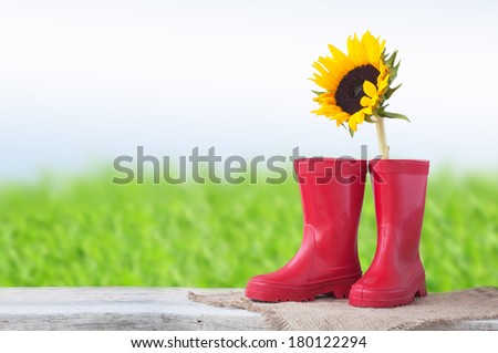 Rain boots with sunflower