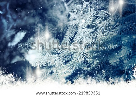 abstract fir tree background