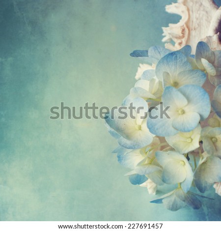 Hortensia flower in the sea shell