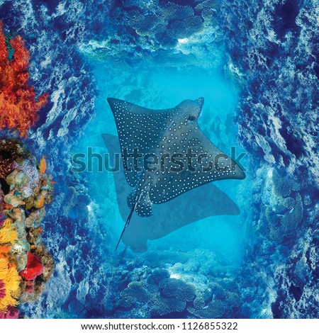 3d floor. High quality image with a stingray. Underwater world. View from above