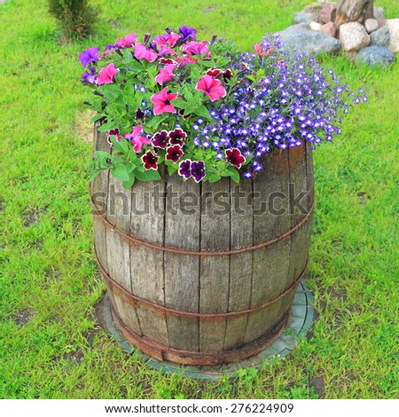 Decorative old wooden barrel with flowers on a green grass