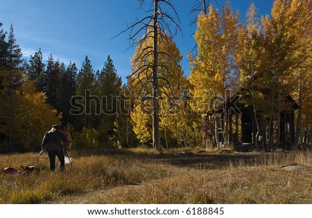 Artist paints scene of beautiful aspens turning autumn colors and an abandoned cabin
