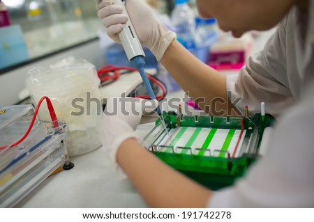 Gloved hand of tecnician loading test tubes with sampled DNA for polymerase chain reaction
