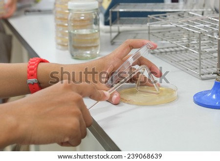 close up of scientist holding a petri dish in the lab with a monitor and petri dishes