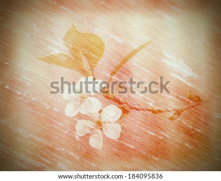 Cherry blossoms. Art grunge floral vintage background. Old scratched wooden texture. Retro style.