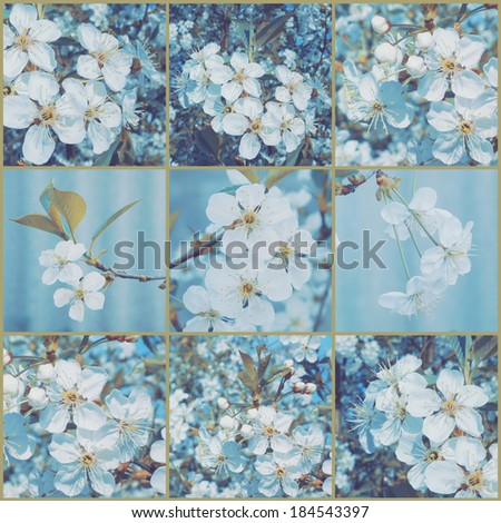 Vintage collage. Cherry blossoms. Art floral background. Retro style.