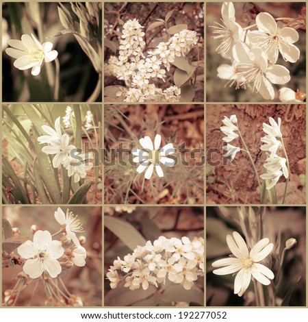 Vintage floral collage of different flowers. Filtered image in retro style. Art floral background with paper texture overlay.