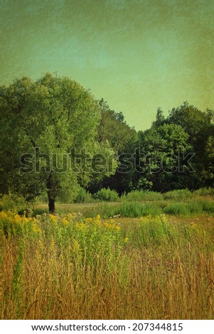 Old paper texture with trees and field. Vintage landscape background.