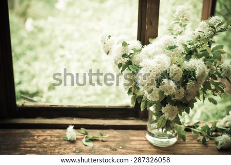 Bouquet of white flowers on windowsill. Spiraea nipponica flowers. Vintage background. Image with retro filter effect