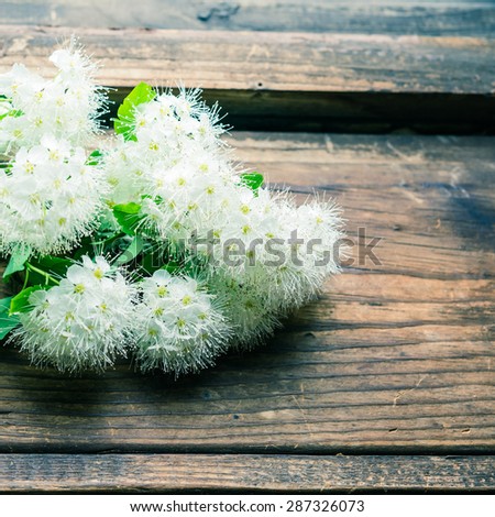Bouquet of white flowers on  on wooden background. Spiraea nipponica flowers. Vintage background. Image with retro filter effect