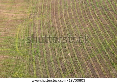 Aerial view of landscape of vast plains and forest in Siberia, Russian Federation.