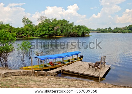 Amazon rainforest: Expedition by boat along the Amazon River near Manaus, Brazil