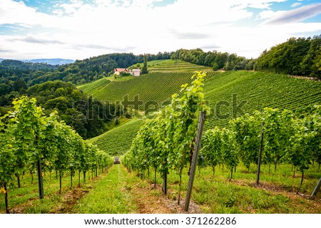 Vineyards along the South Styrian Wine Road in autumn, Austria Europe