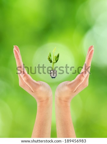 Green rising sprout growing out of a bulb on woman hand, Green energy concept, New life concept.