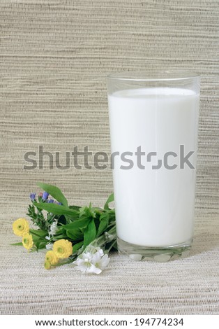 the glass of milk on old  background