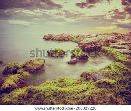 vintage summer landscape on sunrise with stones of moss and amazing sky, instagram effect