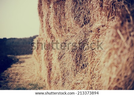 closeup haystack after the harvest of wheat,  natural  background with instagram effect